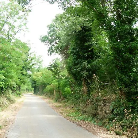 Lori 公寓